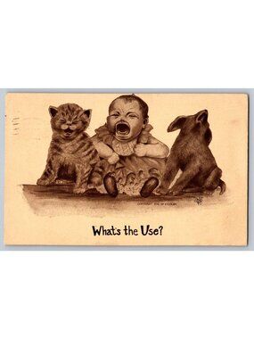1910 Crying Baby Kitten Puppy Comic Postcard V. Colby St. Paul MN Postmark